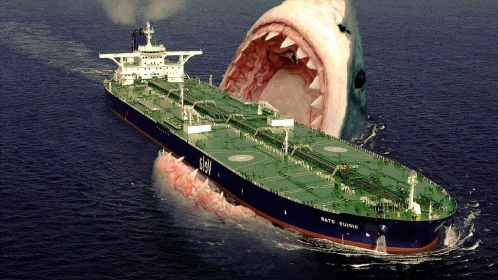 Megalodon ou Titanoboa: quem venceria um confronto entre os maiores predadores pré-históricos?