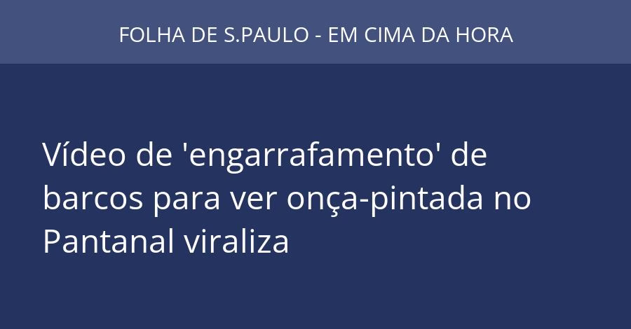 Vídeo de 'engarrafamento' de barcos para ver onça-pintada no Pantanal viraliza